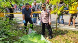 Korban Pembunuhan di Garut