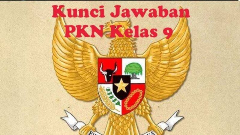 Kunci Jawaban PKN Kelas 9 Halaman 29 (Dok. Ist)