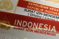 Surat Izin Mengemudi (SIM) / Dok. Seva.id