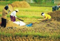 Indonesia sebagai Negara Agraris: Pengaruh Harga Produk Pertanian pada Perekonomian
