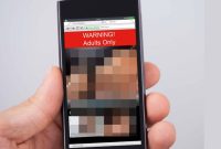 Pria di Kebumen Ditangkap Usai Jual video Porno (Dok. Ist)