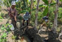 Warga Ponorogo yang tengah mengambil air untuk kebutuhan sehari-hari (Dok. Ist)