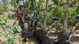 Warga Ponorogo yang tengah mengambil air untuk kebutuhan sehari-hari (Dok. Ist)