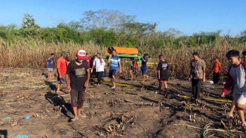 Petani di Ponorogo Tewas terbakar di kebun tebu
(Dok. Ist)