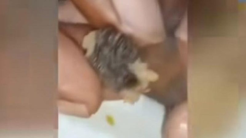 Kasus Video Bakso Tikus di Surabaya Berakhir Damai (Dok. Ist)