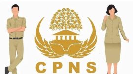 Pendaftaran CPNS 2024 (Dok. Ist)