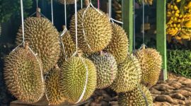 Ekspor durian Indonesia meningkat (Dok. Ist)