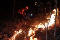 Kebakaran hutan di Ponorogo (Dok. Ist)