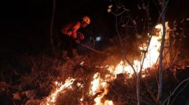 Kebakaran hutan di Ponorogo (Dok. Ist)