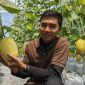 Fiska Indra Pratama saat menunjukkan kebun melon miliknya (Dok. Ist)