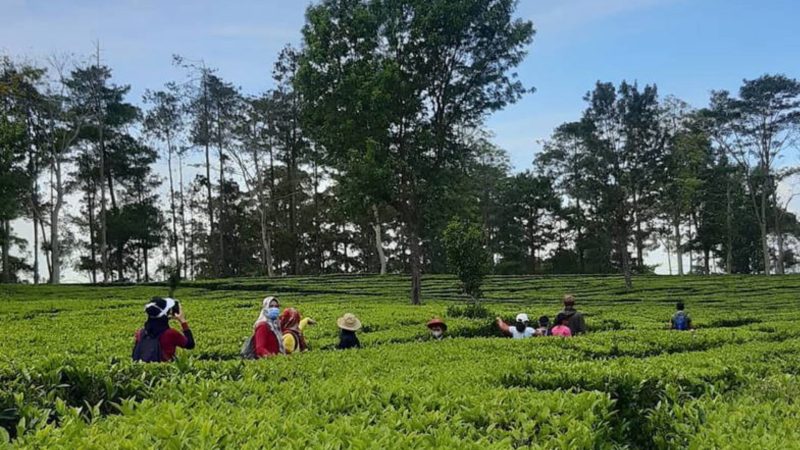 Salah satu tempat outing di Bandung (Dok. Ist)