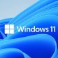 Cara Restart VGA di Windows 11 (Dok. Ist)