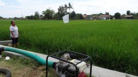 Proses pengairan sawah (Dok. Ist)