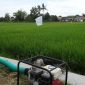 Proses pengairan sawah (Dok. Ist)