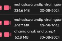 Video KKN Undip Viral (Dok. Ist)