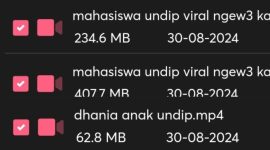 Video KKN Undip Viral (Dok. Ist)