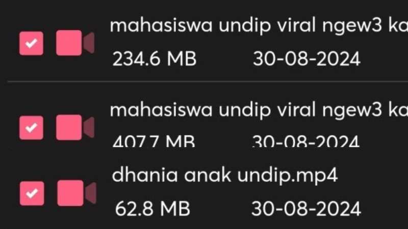 Video KKN Undip Viral (Dok. Ist)