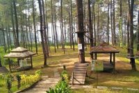 Pesona Bandung Treetop Adventure Park (Dok. Ist)