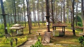 Pesona Bandung Treetop Adventure Park (Dok. Ist)