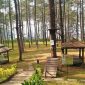 Pesona Bandung Treetop Adventure Park (Dok. Ist)