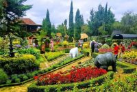 Kebun Begonia Bandung  (Dok. Ist)