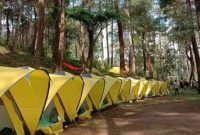 Pesona Ciwangun Indah Camp (Dok. Ist)