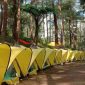 Pesona Ciwangun Indah Camp (Dok. Ist)