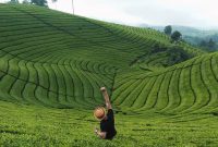 Kebun Teh di Bandung