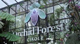 Wisata Orchid Forest Cikole (Dok. Ist)