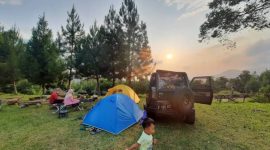 Aktivitas seru di Pine Forest Camp (Dok. Ist)