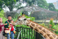 Bandung Zoo.Doc