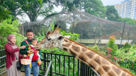 Bandung Zoo.Doc