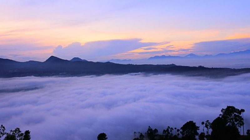 Gunung Putri Lembang
(Dok. Ist)