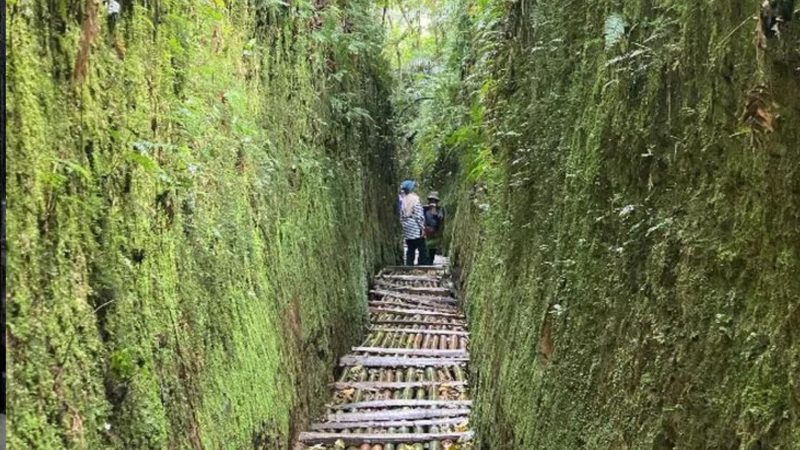 Lorong Semut Lembang 
(Dok. Ist)