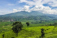 Wisata Alam Murah Meriah: Bukit Keroncong Cicalengka, Cocok untuk Liburan Bareng Pasangan