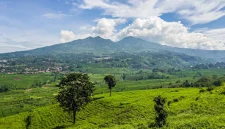 Wisata Alam Murah Meriah: Bukit Keroncong Cicalengka, Cocok untuk Liburan Bareng Pasangan