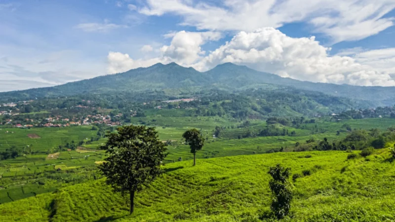 Wisata Alam Murah Meriah: Bukit Keroncong Cicalengka, Cocok untuk Liburan Bareng Pasangan