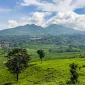 Wisata Alam Murah Meriah: Bukit Keroncong Cicalengka, Cocok untuk Liburan Bareng Pasangan