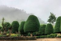 Pesona Bukit Jamur Rancabolang (Dok. Ist)