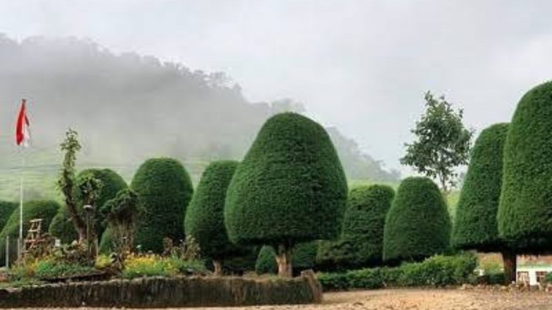 Pesona Bukit Jamur Rancabolang (Dok. Ist)