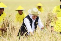 Potret saat Khofifah panen raya (Dok. Ist)