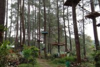 Pesona Tangkal Pinus Lembang (Dok.ist)