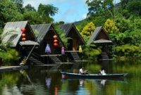 Taman Bunga Begonia
(Dok. Ist)