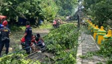 Angin puting beliung rusak puluhan rumah warga
(Dok. Ist)