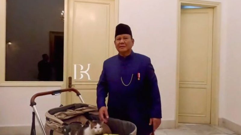 Bobby Kartanegara kucing kesayangan Prabowo 
(Dok. Ist)