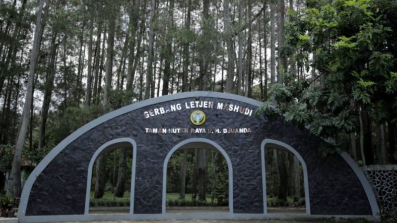 Taman Hutan Raya Ir H Djuanda
(Dok. Ist)