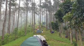 Pesona Wisata Baru Kuda (Dok. Ist)