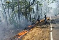 Kebakaran Hutan di TN Baluran Situbondo (Dok.ist)