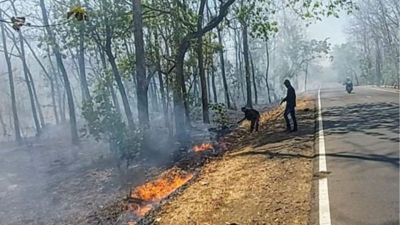 Kebakaran Hutan di TN Baluran Situbondo (Dok.ist)