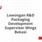 Lowongan R&D Packaging Development Supervisor Wings Bekasi